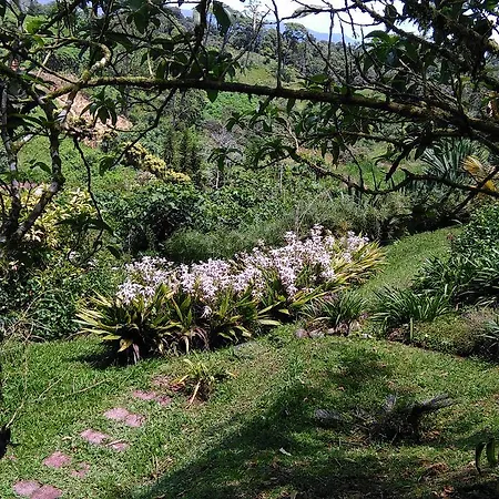 Finca Y Granja Loma Bonita Turrialba Exterior photo