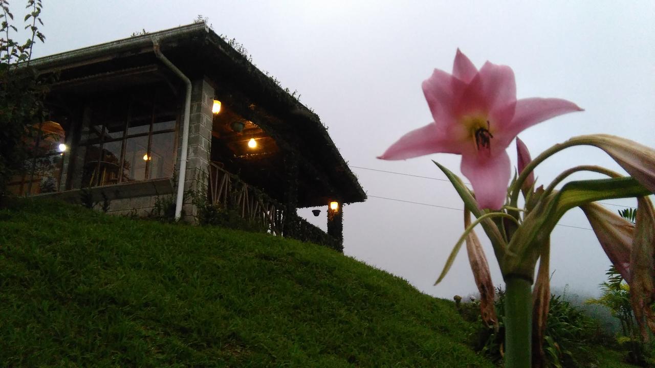 Y Granja Loma Bonita Chalet Turrialba