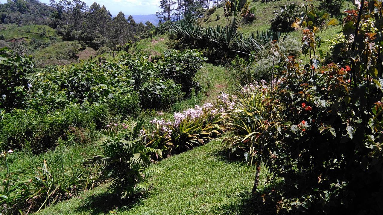 Y Granja Loma Bonita *