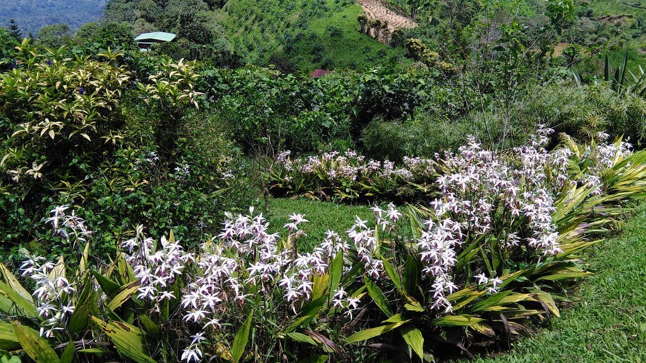 Y Granja Loma Bonita *