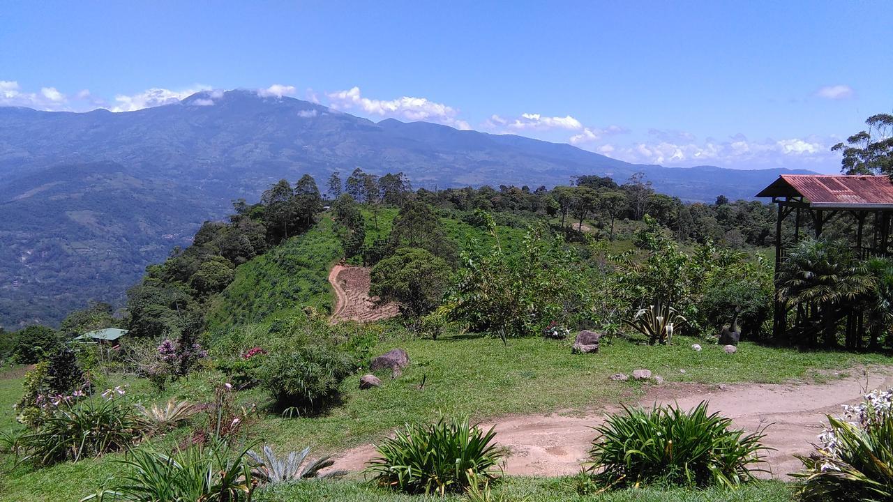 Y Granja Loma Bonita Chalet Turrialba